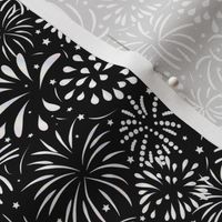 Party Fireworks- Silver White Dazzling Sky with Fire Flowers- Black and White- Small Scale 