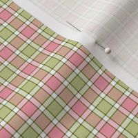 pink and green plaid