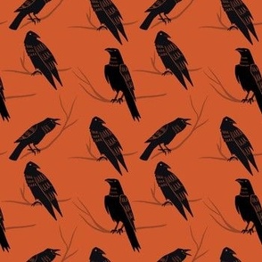 Murder_Of_Crows