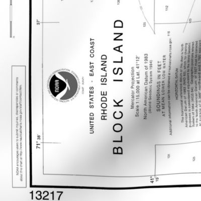 NOAA Block Island nautical chart #13217 - 36x52.6" (fits on a yard of the wider fabrics) 