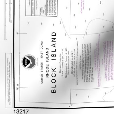 NOAA Block Island nautical chart #13217 - 28.7x42" (fits on a yard of any fabric) 