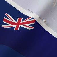 Waving New Zealand Flags