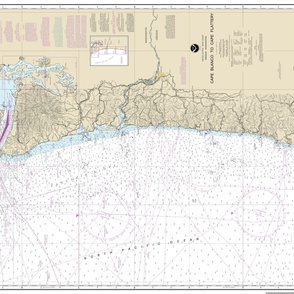 NOAA Pacific Ocean West Coast nautical chart #18003, Cape Blanco to Cape Flattery, 42x31.9" (fits on a yard of any fabric)