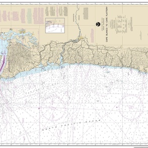 NOAA Pacific Ocean West Coast nautical chart #18003, Cape Blanco to Cape Flattery, 47.4"x36" (fits on a yard of any fabric)