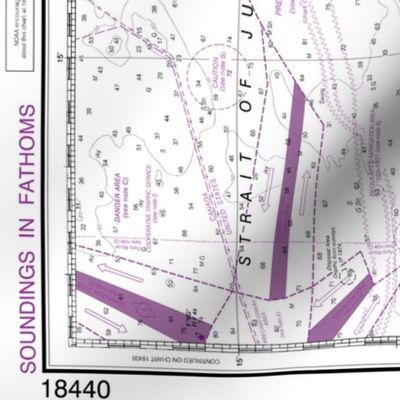 NOAA Puget Sound nautical chart #18440, 54.5"x36" (fits on a yard of wider fabrics)