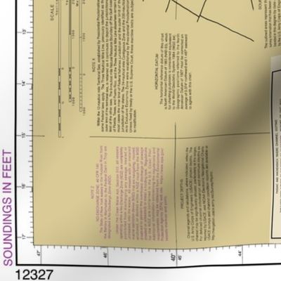 NOAA New York Harbor nautical chart #12327, 47.2"x36" (fits on a yard of wider fabrics)