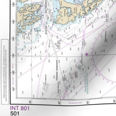 NOAA Pacific Ocean West Coast nautical chart #501, Washington and Oregon, 42x25.9" (fits on a yard of any fabric) 