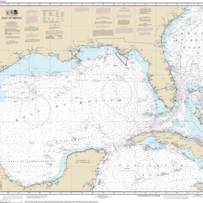 NOAA nautical chart #411, Gulf of Mexico, 42x35.4" (fits on a yard of any fabric)