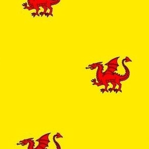 Or, a dragon passant gules