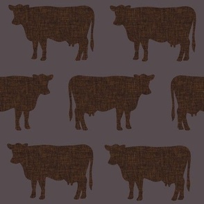 umber + brunette cows