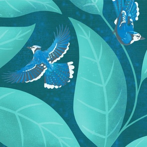 blue jay teal