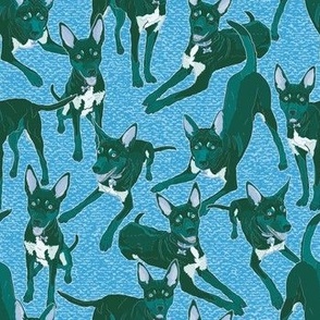 who's a good boy?! Australian kelpie dog // Pantone ultra steady - blue green