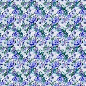 Tiny blue and white flowers