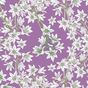 Star flower wild trellis lilac lace