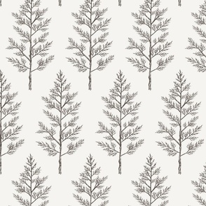 Tan & Brown Trees for Forest Themed Nursery Wallpaper, Bedding, Sheets, & Decor