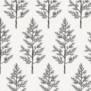 Black & Off-White Trees for Forest Themed Nursery Wallpaper, Bedding, Sheets, & Decor