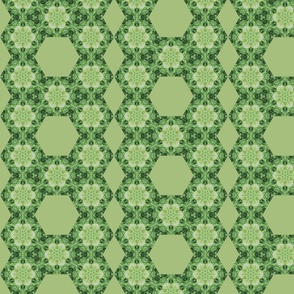 hexagon nettle geo