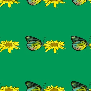 Butterflies and yellow daisies pattern