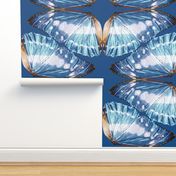 Blue Monarch Butterfly Wings