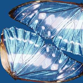 Blue Monarch Butterfly Wings