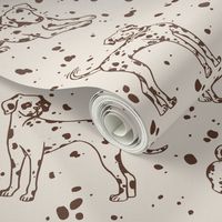 Dalmatian - Mocha