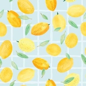 Lemons and life