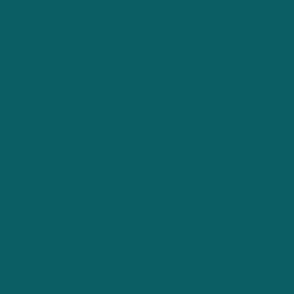 BHMN1 - Dark Turquoise Solid  - Hex 0a5e64