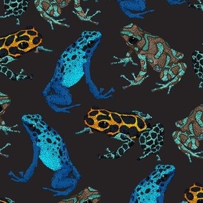 Poison Dart Frogs | Dark Background