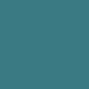 BHMN2 -  Turquoise Solid  - Hex code 3a7b83