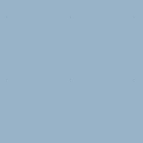 BHMN2 - Wild Blue Yonder - A Rustic Pastel Blue Solid - hex 98b2c7