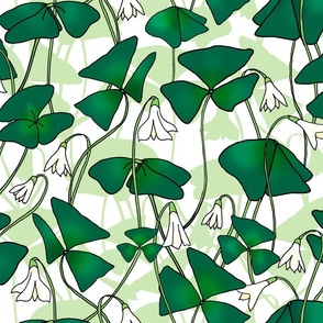 Oxalis Shadows (large scale)