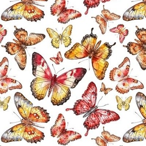 Playful butterflies in red and orange
