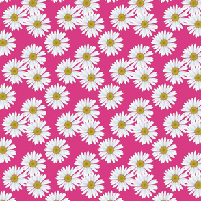 daisy_magenta_pattern