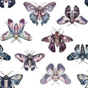 Exquisite vintage moths in pale purple and blue