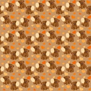 Cotton Candy Brown Bears - Orange