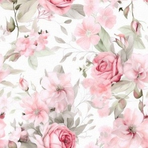 #7 Shell Pink Blush Floribunda Roses 