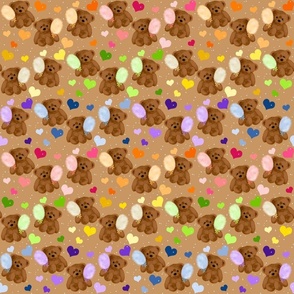 xRainbow Cotton Candy Brown Bears