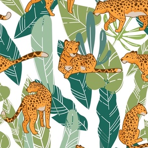 Cheetah leopard with green leaves