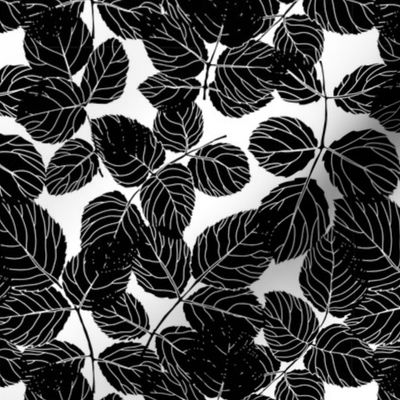 Black leaves on white