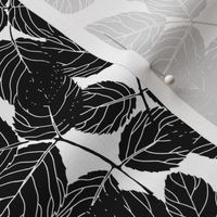 Black leaves on white