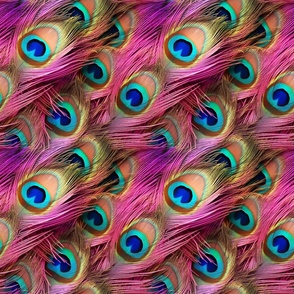 PINK COLORFUL PEACOCK FEATHERS 1 FLWRHT