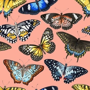 Butterflies - Peach