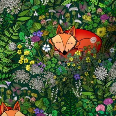 Sleepy Fox In a Wildflower Meadow 