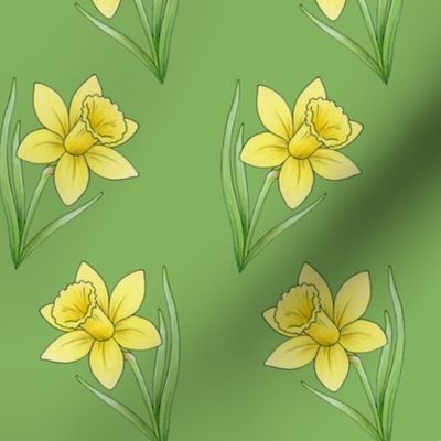 Daffodil rows on fern green - medium-large scale