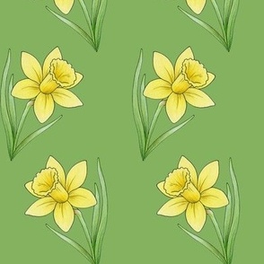 Daffodil rows on fern green - medium-large scale