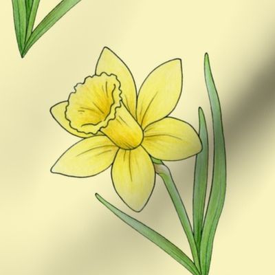 Daffodil rows on primrose yellow - medium-large scale