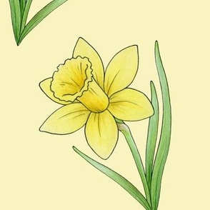 Daffodil rows on primrose yellow - medium-large scale