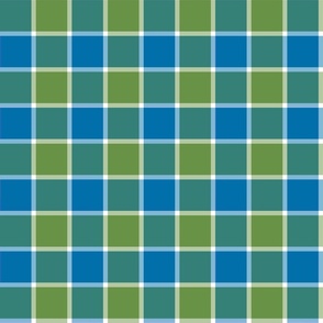 Wiscasset 2 Inch Plaid Check No. 2 Vintage Colors Blue and Green