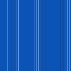 guitar string stripe - white on picnic blue