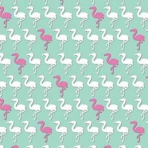 Flamingo Rows in White and Pink on Green